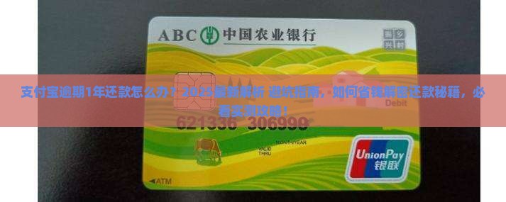 支付宝逾期1年还款怎么办