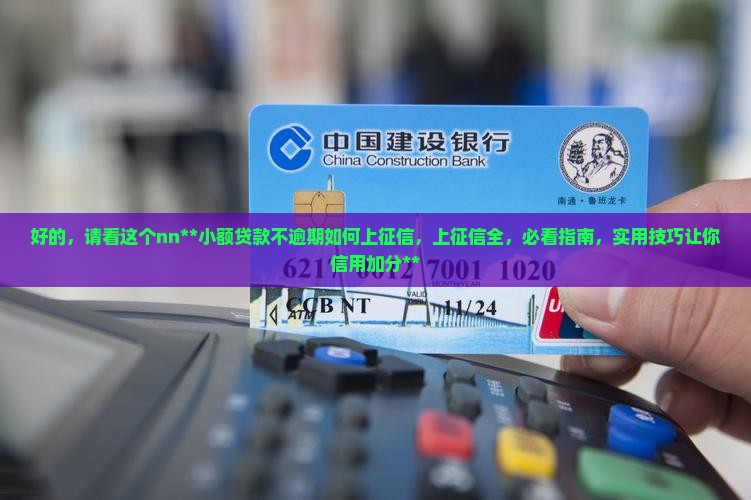 小额贷款不逾期如何上征信