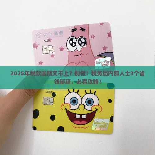 税款长期逾期交不上怎么办