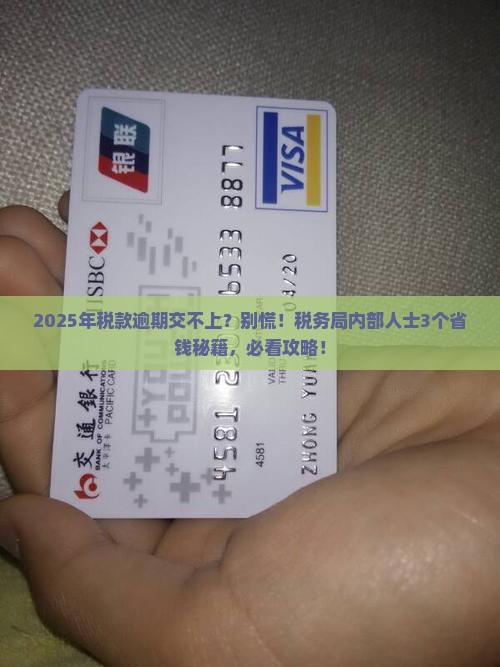 税款长期逾期交不上怎么办