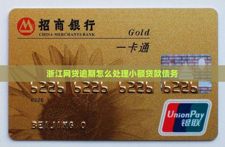 浙江小额贷款逾期怎么处理