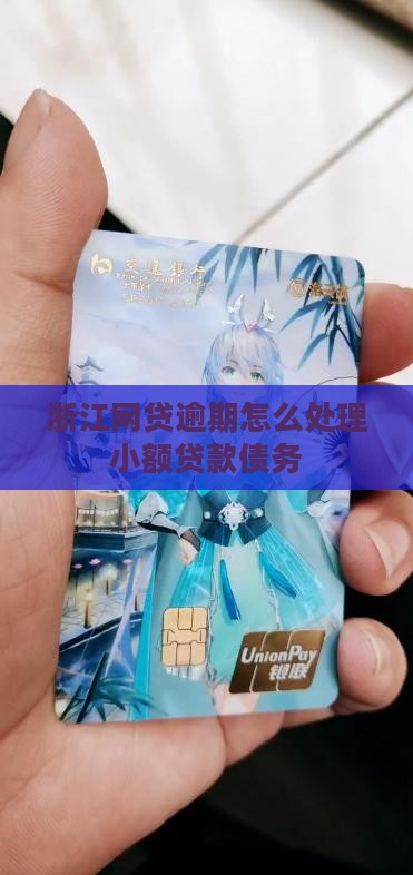 浙江小额贷款逾期怎么处理
