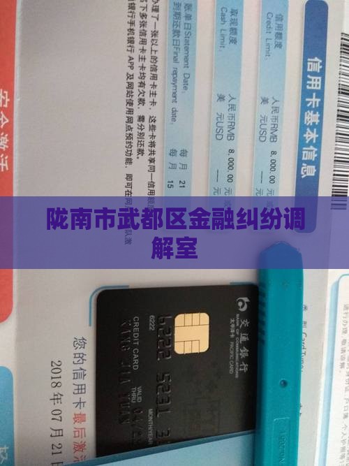 陇南市金融纠纷调解室