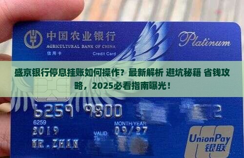 盛京银行停息挂账解决方法和注意事项