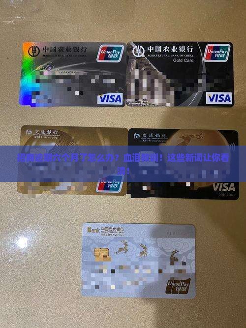 招商逾期六个月了怎么办