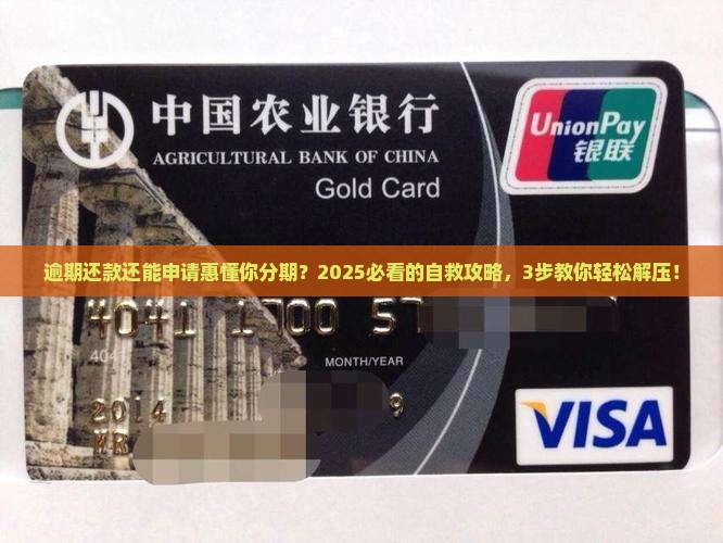 逾期还款是否可以申请惠懂你分期还款