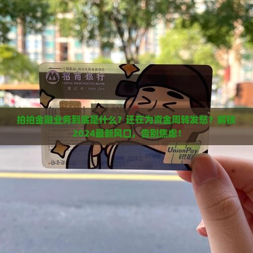 拍拍金融业务是什么