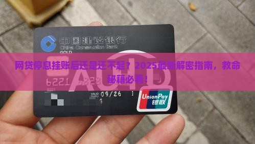 网贷停息挂账后还是无力偿还怎么办