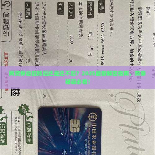 网贷停息挂账后还是无力偿还怎么办