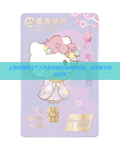 上海农商银行个人消费贷款逾期应对措施