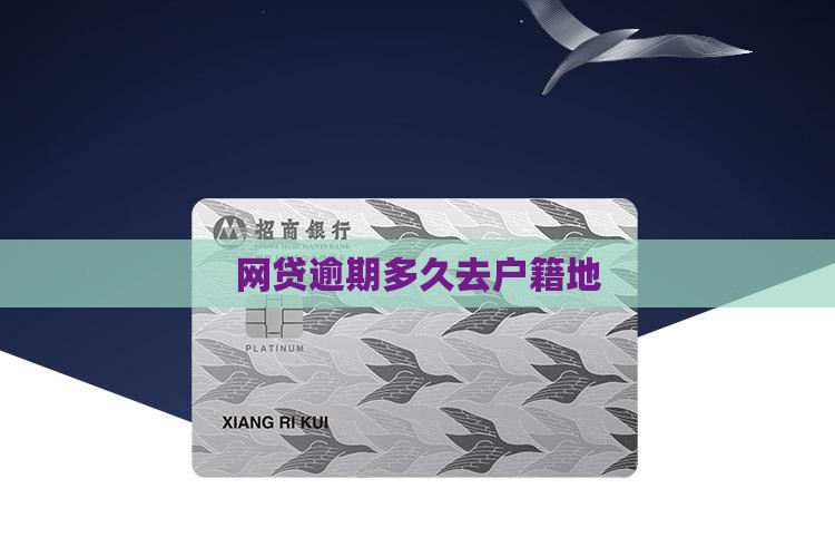 网贷逾期多久去户籍地