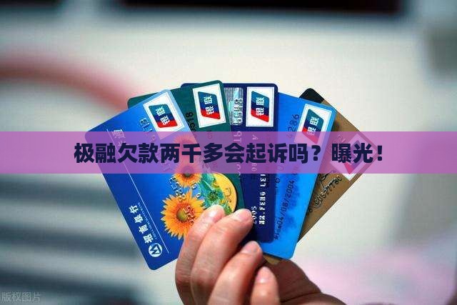 极融欠款两千多会起诉吗