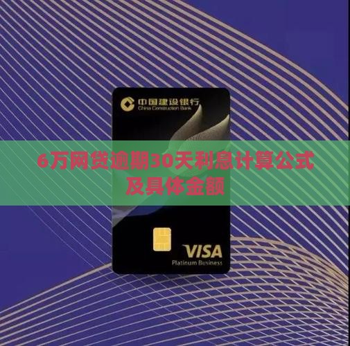 6万网贷逾期30天利息计算公式及具体金额