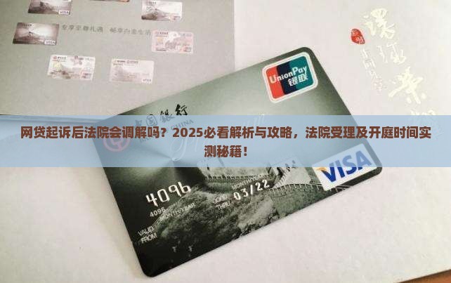 网贷起诉后法院会调解吗