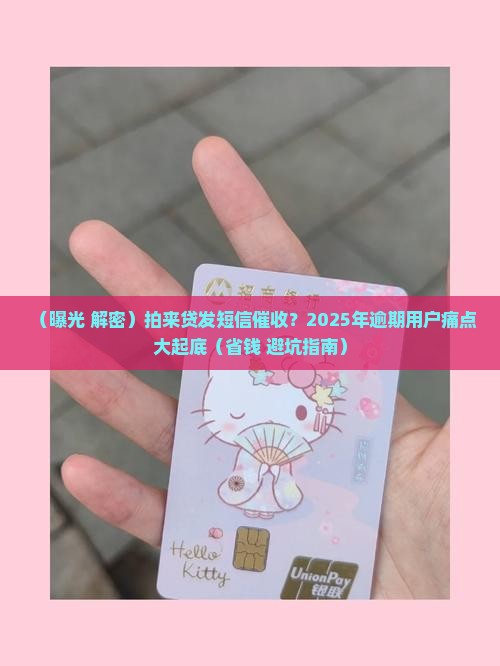 拍来贷发短信催收
