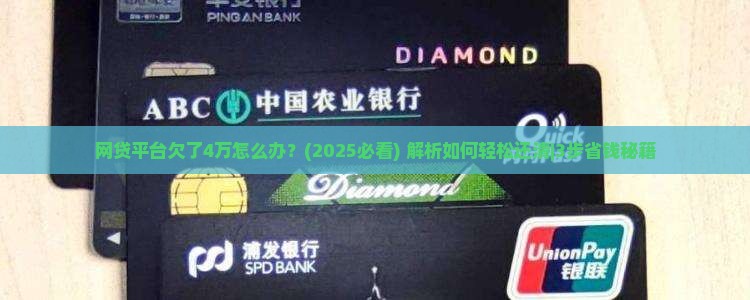 网贷平台欠了4万怎么办