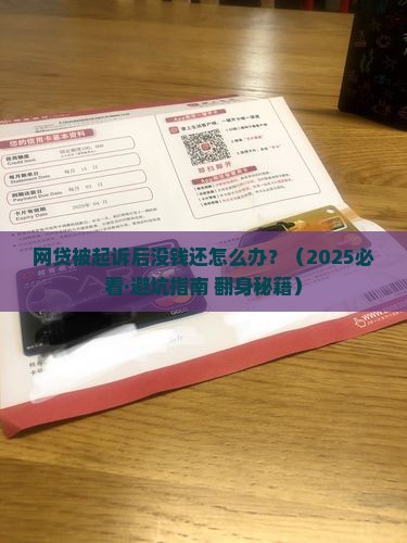 网贷起诉后没钱了怎么办