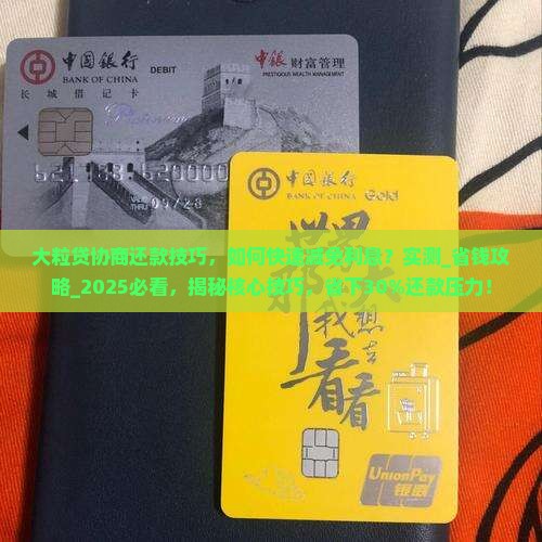大粒贷协商还款技巧