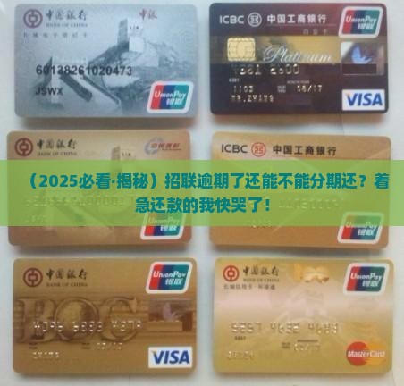 招联逾期还能分期还