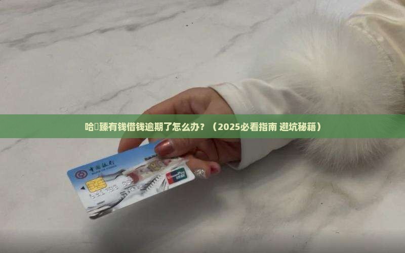 哈啰里面的臻有钱借钱逾期如何处理