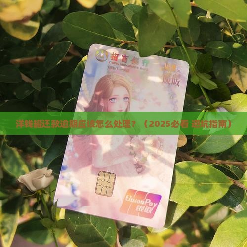 洋钱罐还款逾期应该怎么处理
