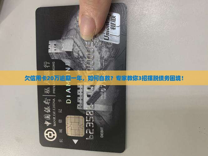 欠信用卡20万逾期一年