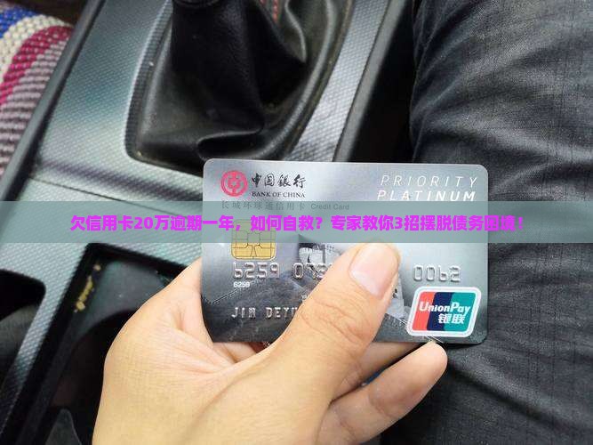 欠信用卡20万逾期一年