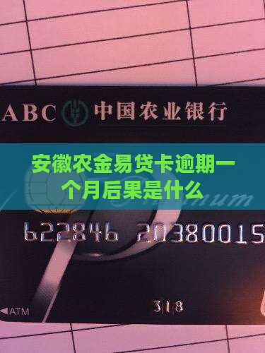 安徽农金易贷卡逾期一个月后果是什么