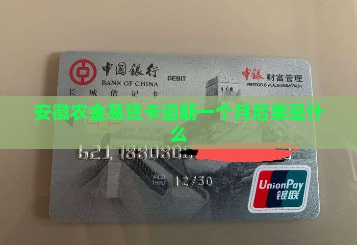 安徽农金易贷卡逾期一个月后果是什么