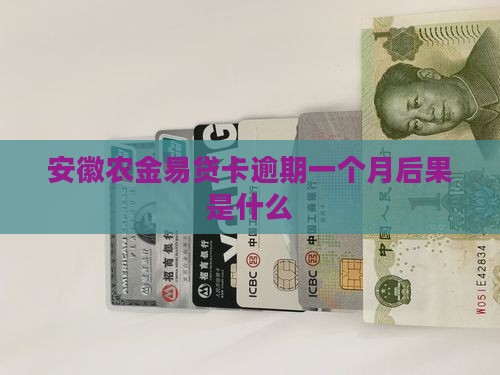 安徽农金易贷卡逾期一个月后果是什么