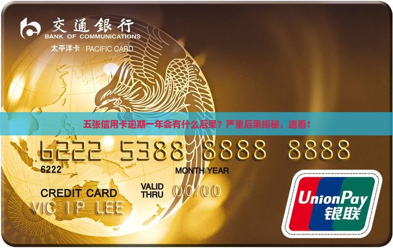 五张信用卡逾期一年会有什么后果