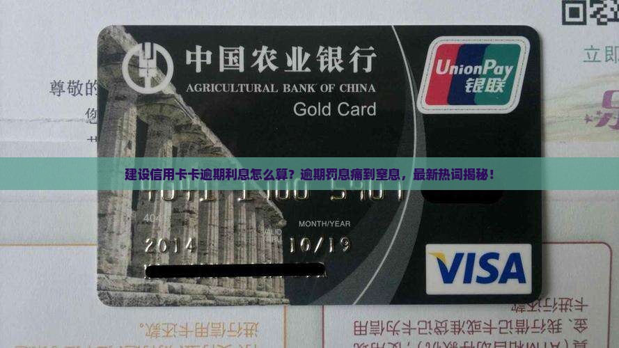 建设信用卡卡逾期利息怎么算
