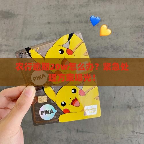 农行逾期20w怎么办