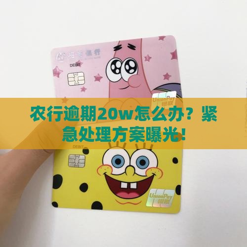 农行逾期20w怎么办