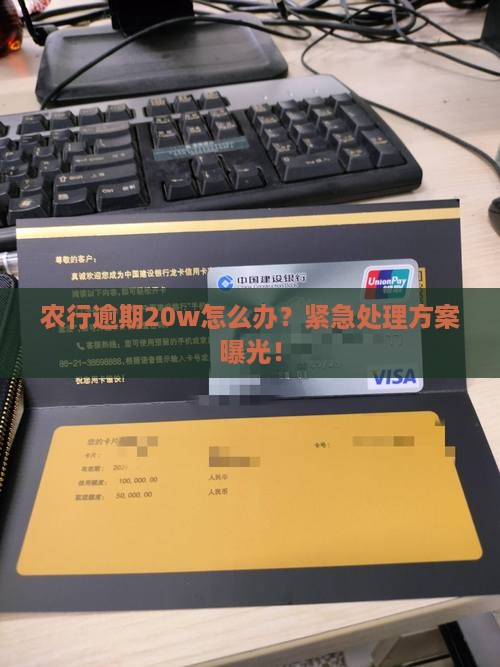 农行逾期20w怎么办