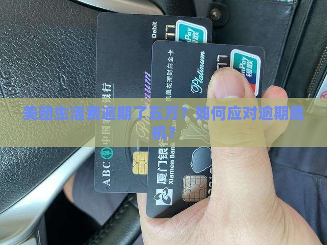 美团生活费逾期了五万