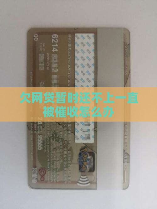 欠网贷暂时还不上一直被催收怎么办