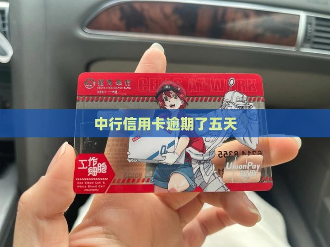 中行信用卡逾期了五天