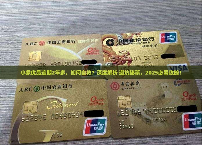 小象优品逾期2年多怎么办