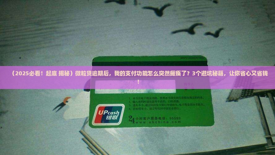 微粒贷逾期如何影响账户支付情况