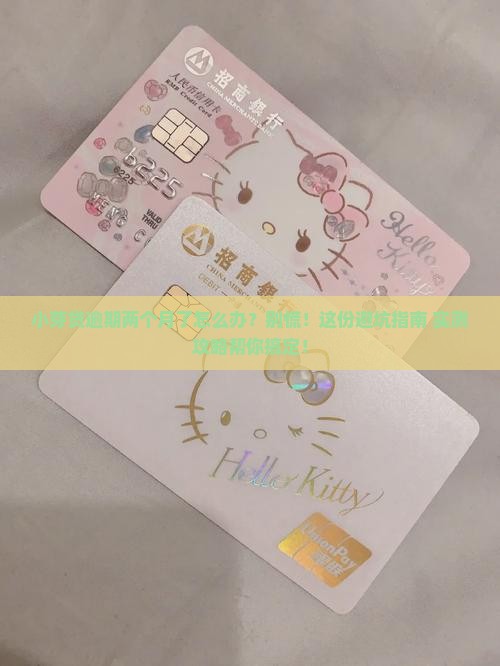 小芽贷逾期两个月后的应对措施及解决方案