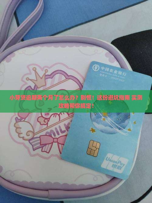 小芽贷逾期两个月后的应对措施及解决方案