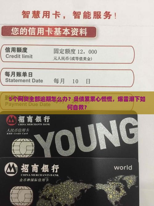 5个网贷全部逾期怎么办