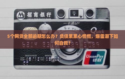 5个网贷全部逾期怎么办