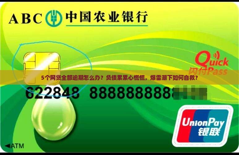 5个网贷全部逾期怎么办