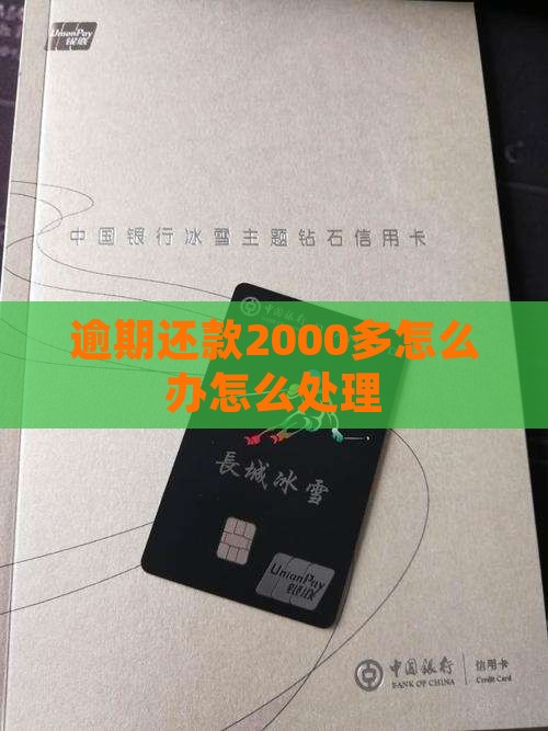 新橙优品逾期还款2000多怎么办