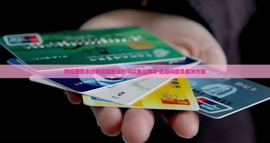 阿拉善京东白条逾期怎么办可以怎么解决