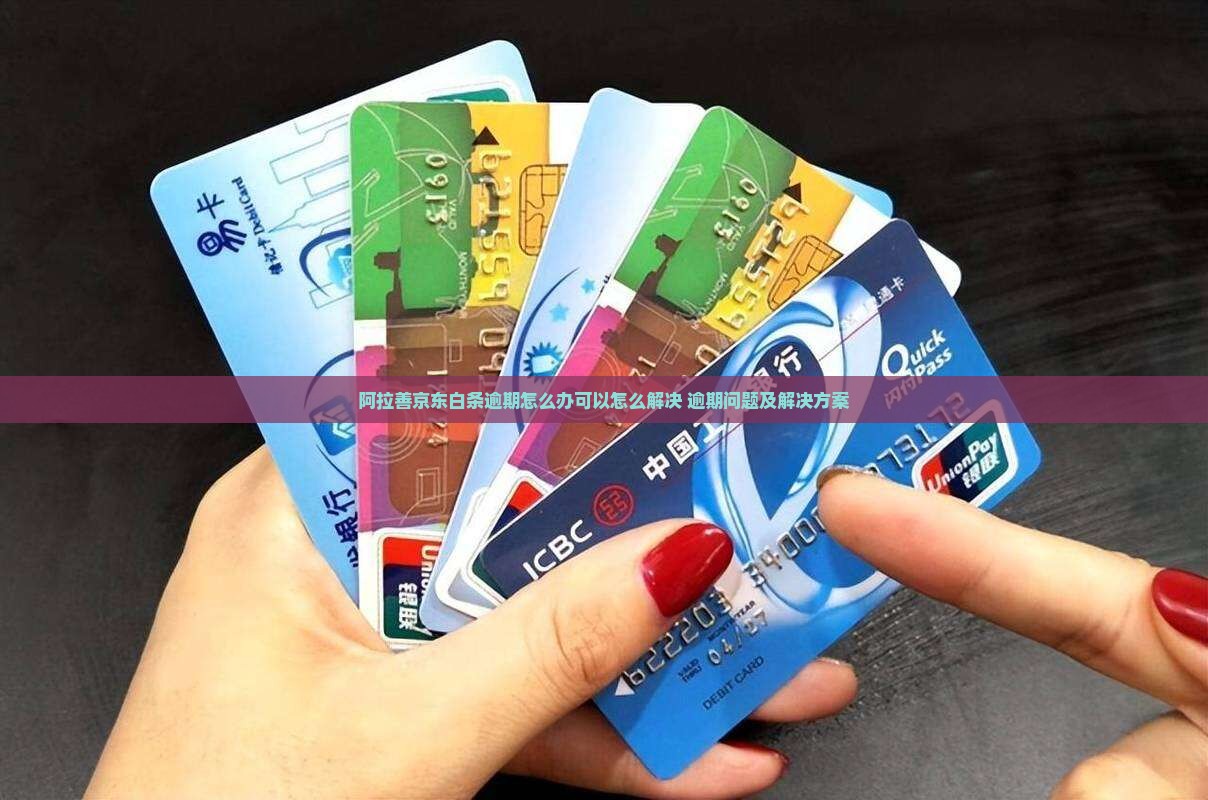 阿拉善京东白条逾期怎么办可以怎么解决