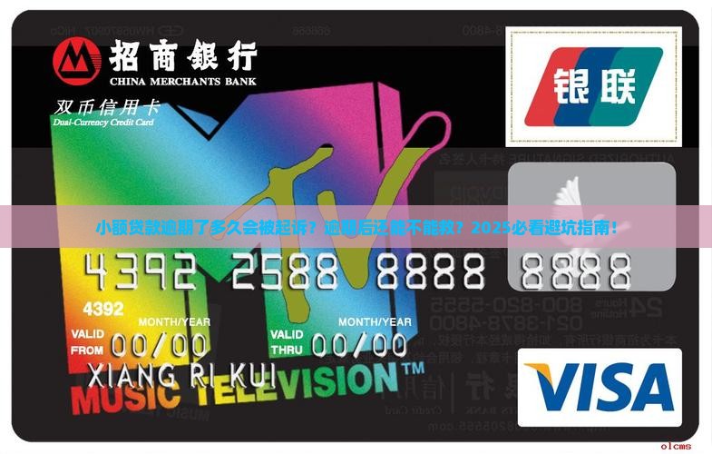 小额贷款逾期了多久起诉