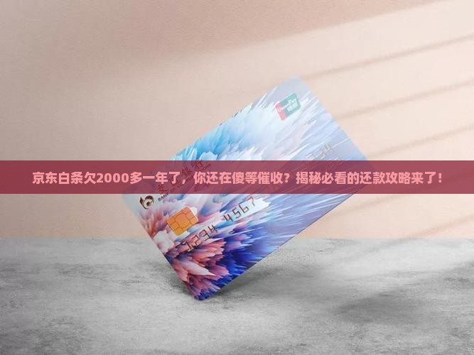 京东白条欠2000多一年了